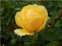30a24e42-Picture 5310.jpg
